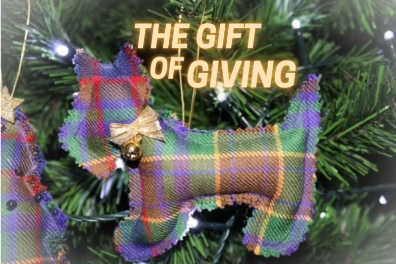 Christmas Appeal 2022 - Gift of Giving
