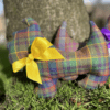 Greyfriars Bobby Dog - greyfriars tartan