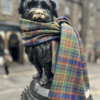 Greyfriars Bobby wearing Greyfriars Tartan scarf