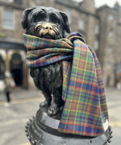 Greyfriars Bobby wearing Greyfriars Tartan scarf