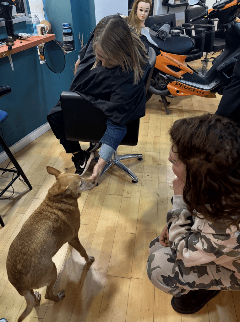 Bad Boy Barbers and GCP - Elsa Bad Boy Barbers and GCP - Elsa