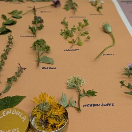 PXL_20250717_153454136.PORTRAIT PXL_20250717_153454136.PORTRAIT